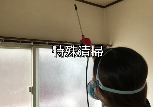 特殊清掃